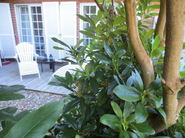 Luft Und Meer 4**** Ferienwohnung Hage Luaran gambar